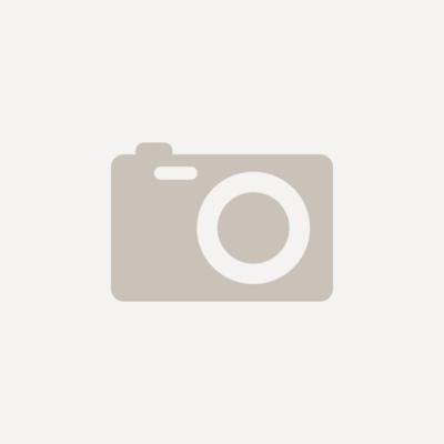 Jabra Evolve 2 30 MS Mono (Usb-C) (23089-899-879)