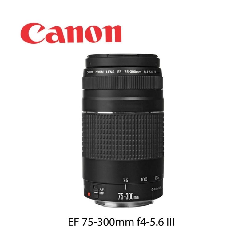 Canon EF 75-300mm f/4-5.6 III Lens