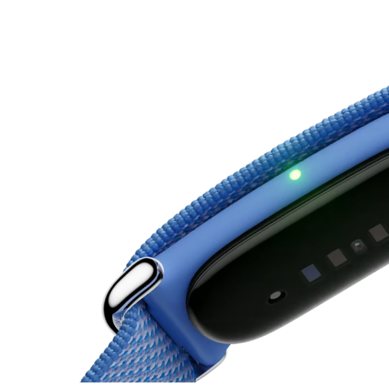Google Fitbit Air (Berry, GA11016)