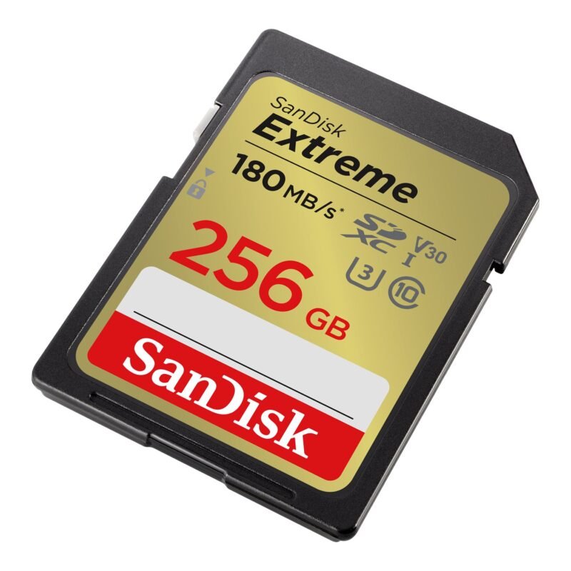 Sandisk SD Extreme Class 10 UHSI (256GB, SDSDXVV-256G-GNCIN)
