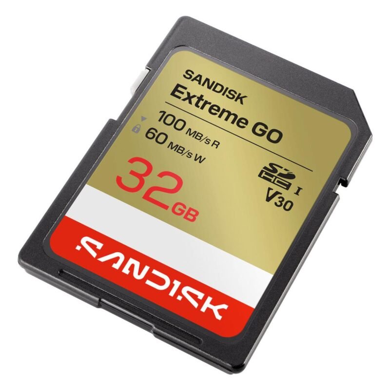 Sandisk Extreme GO SD UHS-I Card (32GB, SDSDXGN-032G-GNCIN)