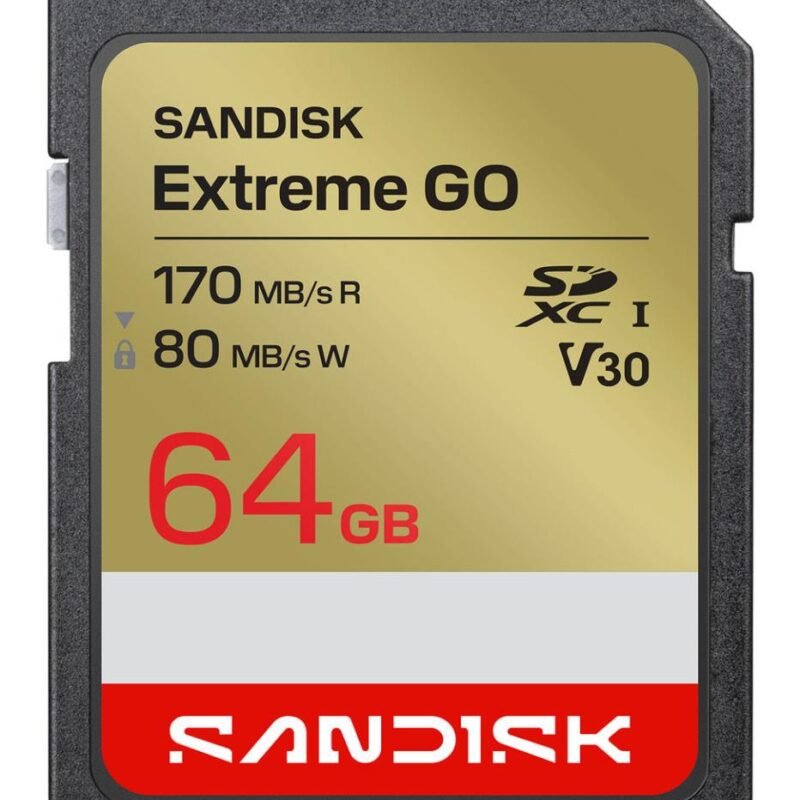 Sandisk Extreme GO SD UHS-I Card (64GB, SDSDXGN-064G-GNCIN)