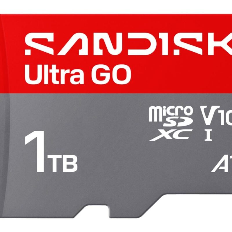 Sandisk Ultra Go Micro SDXC UHS-I (1TB, SDSQUGN-1T00-GN6MN)