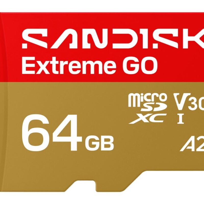 Sandisk Extreme GO MicroSDHC UHS-I (64GB, SDSQXGN-064G-GN6MN)