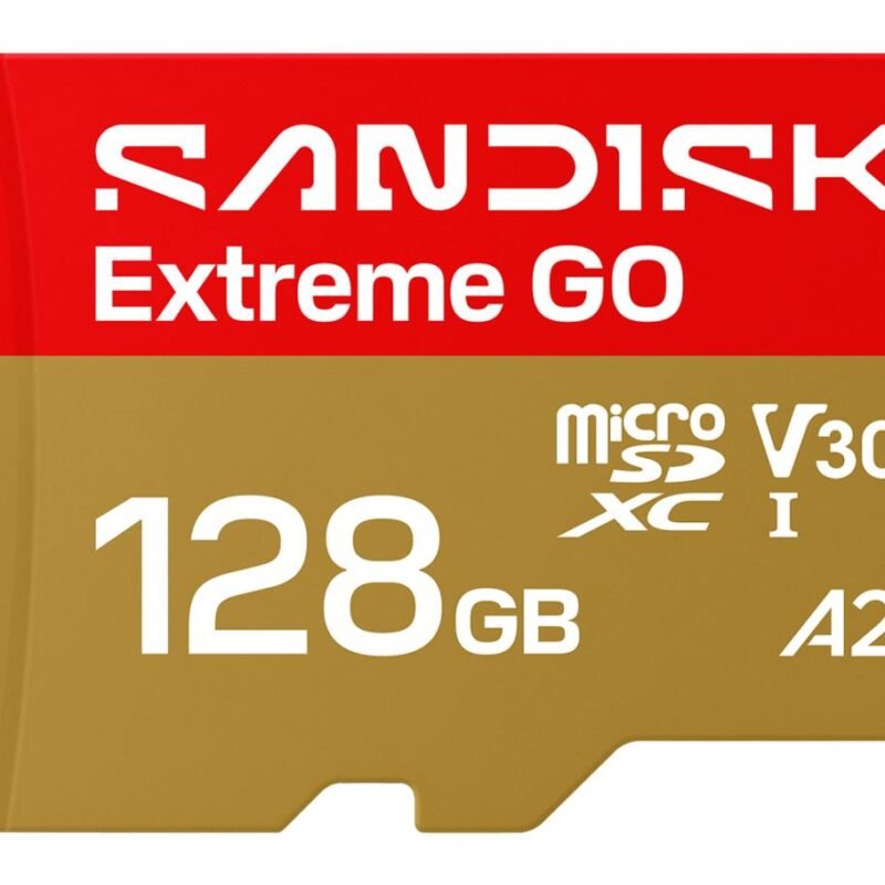 Sandisk Extreme GO MicroSDHC UHS-I (128GB, SDSQXGN-128G-GN6MN)