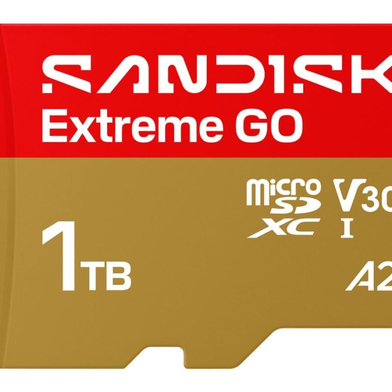 Sandisk Extreme GO MicroSDHC UHS-I (1TB, SDSQXGN-1T00-GN6MN)