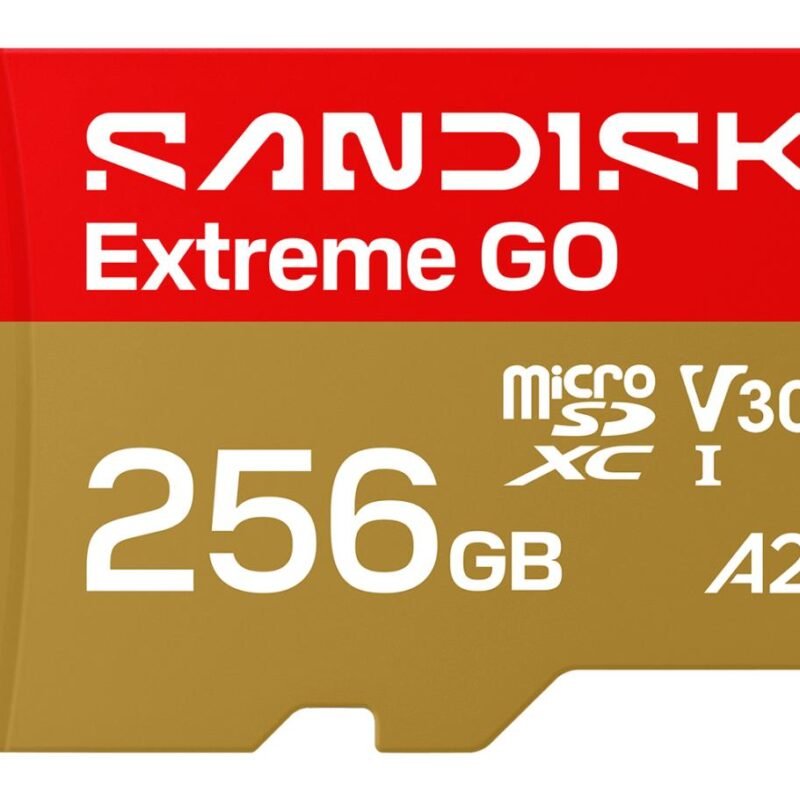 Sandisk Extreme GO MicroSDHC UHS-I (256GB, SDSQXGN-256G-GN6MN)