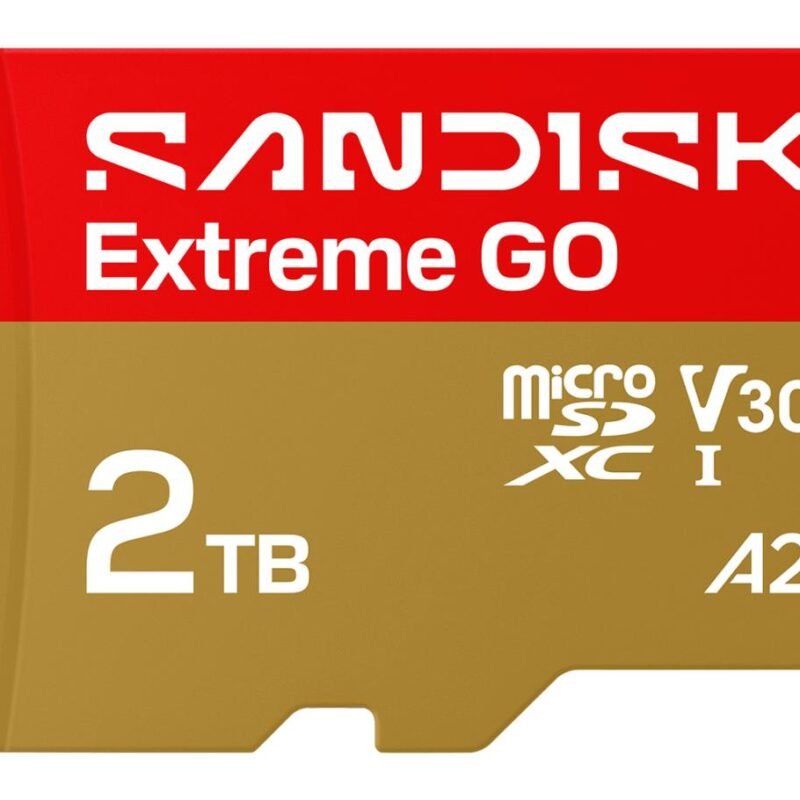 Sandisk Extreme GO MicroSDHC UHS-I (2TB, SDSQXGN-2T00-GN6MN)