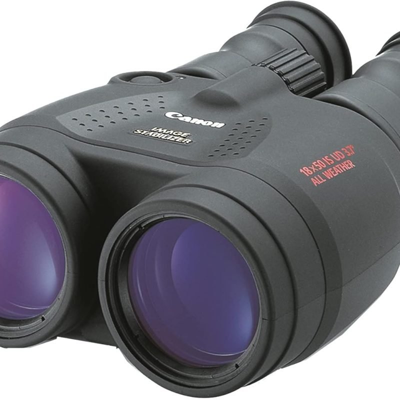 Canon 15x50 IS Binoculars