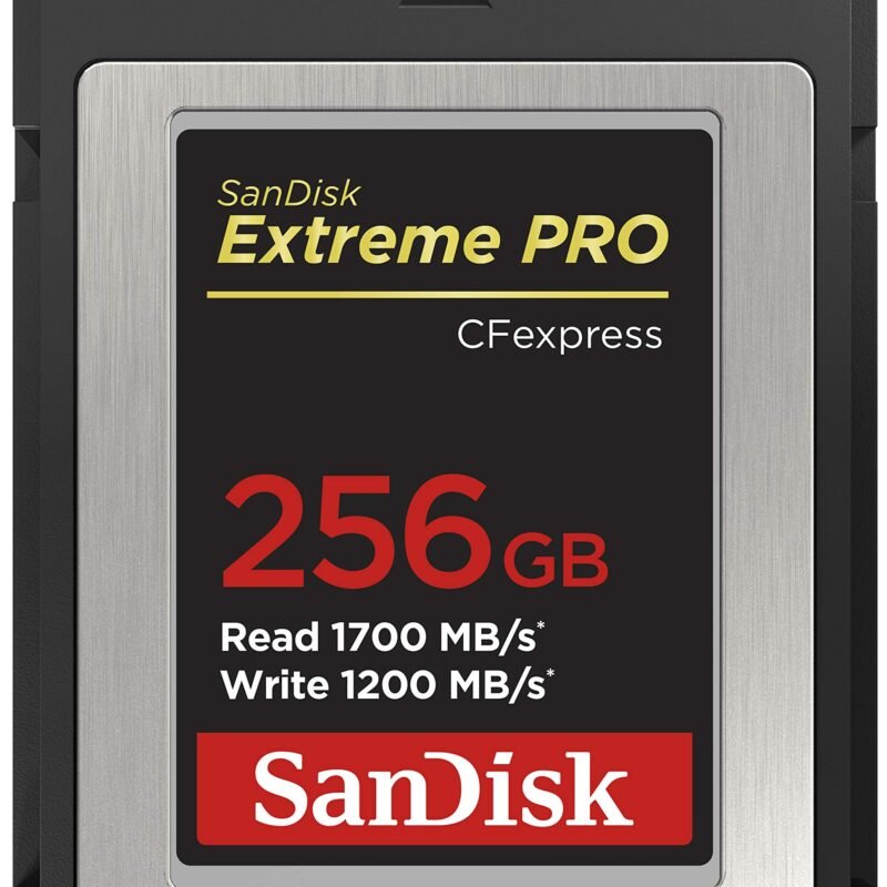 SanDisk Extreme PRO CFexpress Card Type B (256GB, SDCFE-256G-GN4NN)
