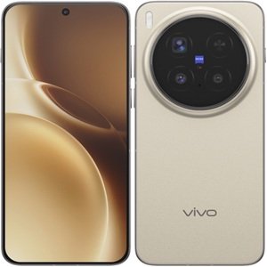 Vivo X300 Pro (CN, V2502A) (1TB+16GB, Brown)