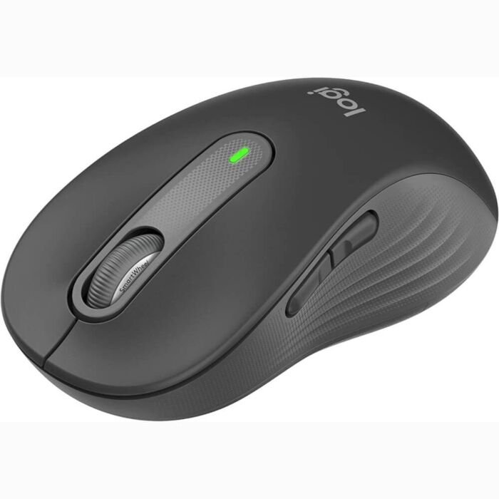 Logitech Signature M650 Wireless Mouse (Large) (Graphite, 910-006247)