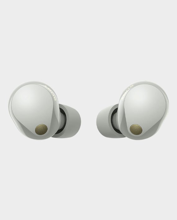 Sony WF-1000XM5 Wireless Noise Canceling Headphones (Silver)