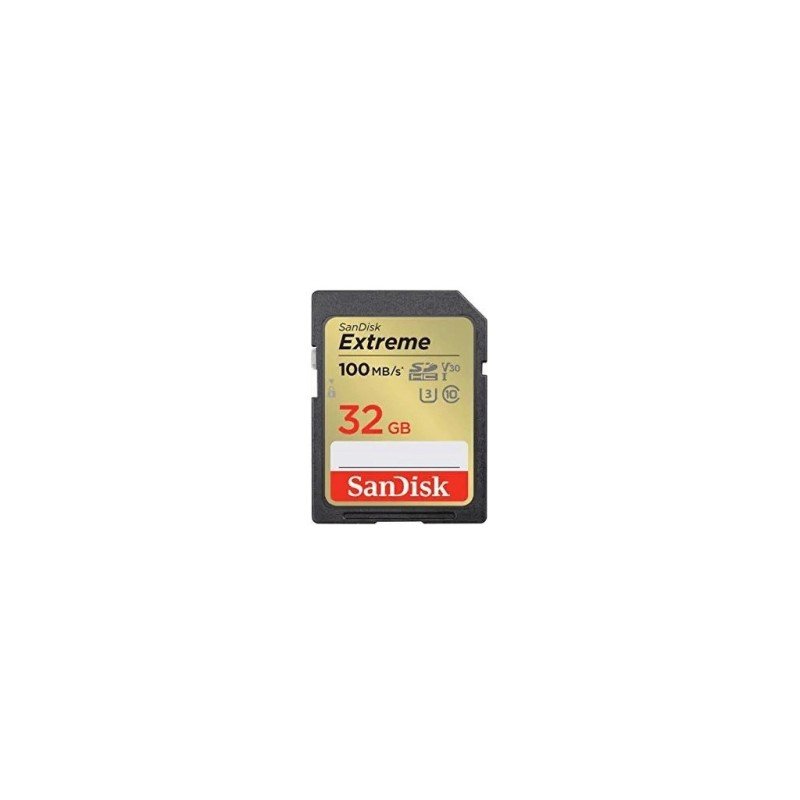 Sandisk SD Extreme Class 10 UHSI (32GB, SDSDXVT-032G-GNCIN)
