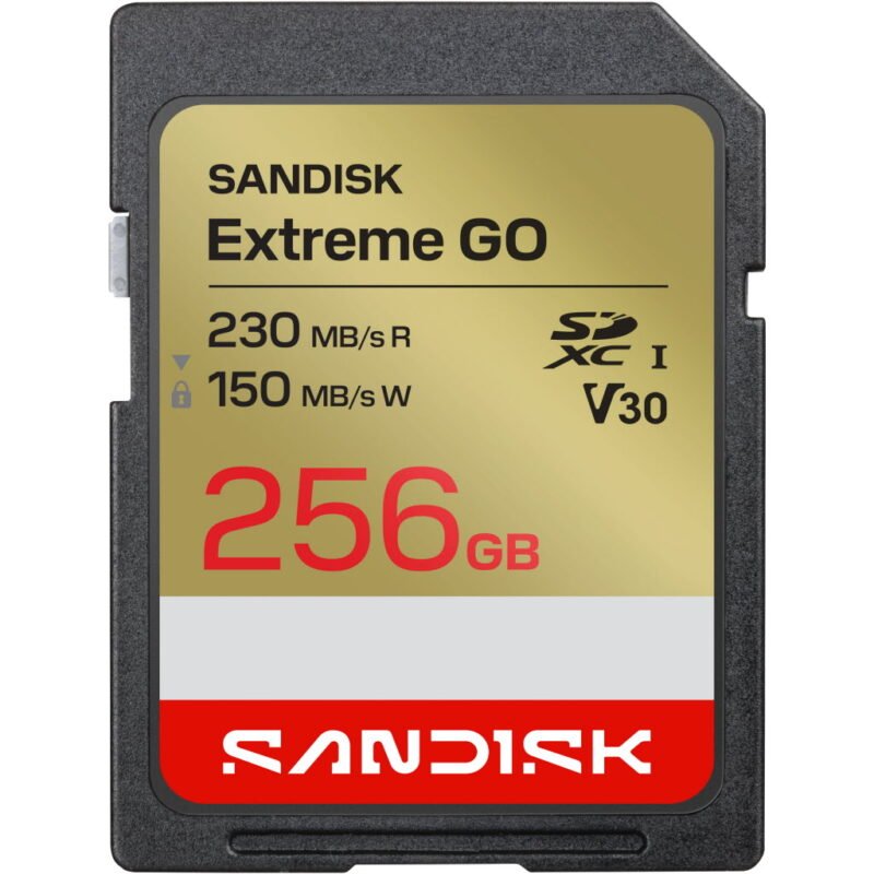 Sandisk Extreme GO SD UHS-I Card (256GB, SDSDXGN-256G-GNCIN)