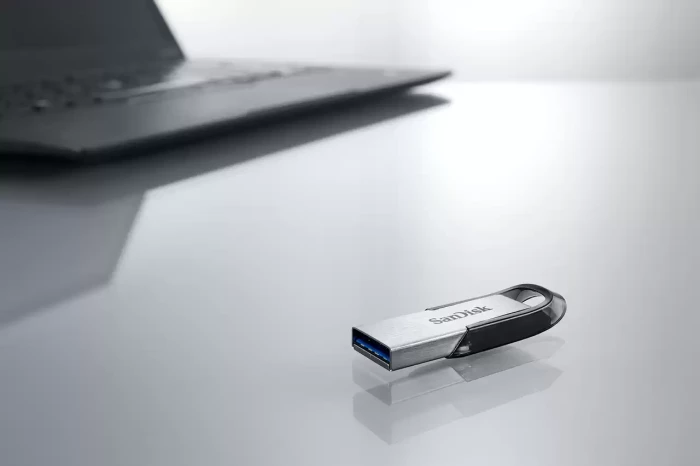 Sandisk Ultra Flair USB 3.0 Flash Drive (1TB, SDCZ73-1T00-G46)