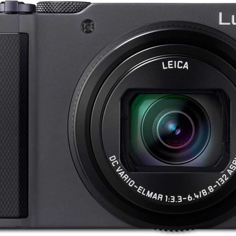 Panasonic Lumix DC-ZS300 Digital Camera (Silver)